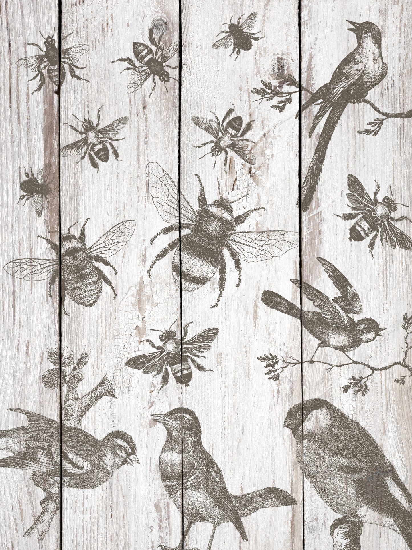 Birds & Bees Stamp (IOD) Iron Orchid Designs- 12x12