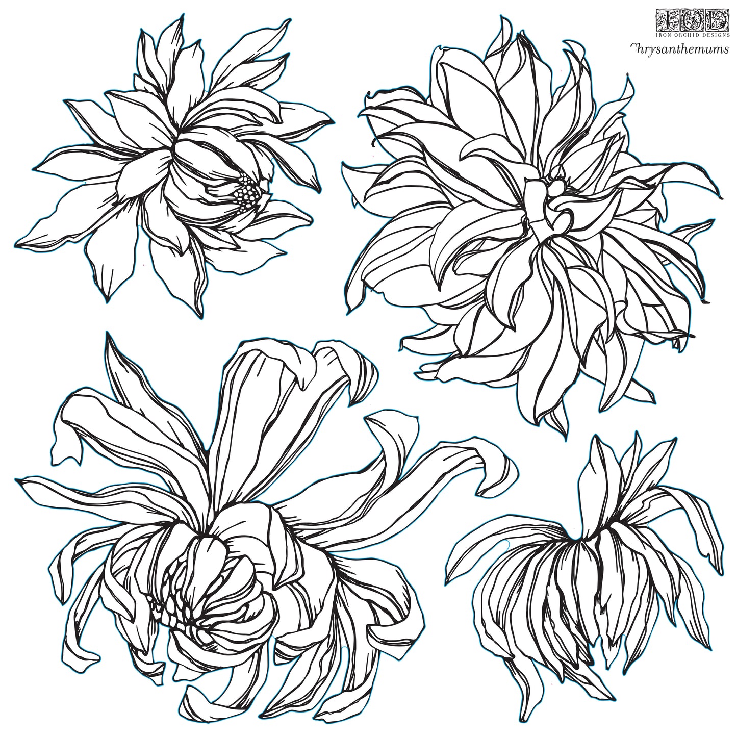 Chrysanthemums Stamp (IOD) Iron Orchid Designs- 12x12