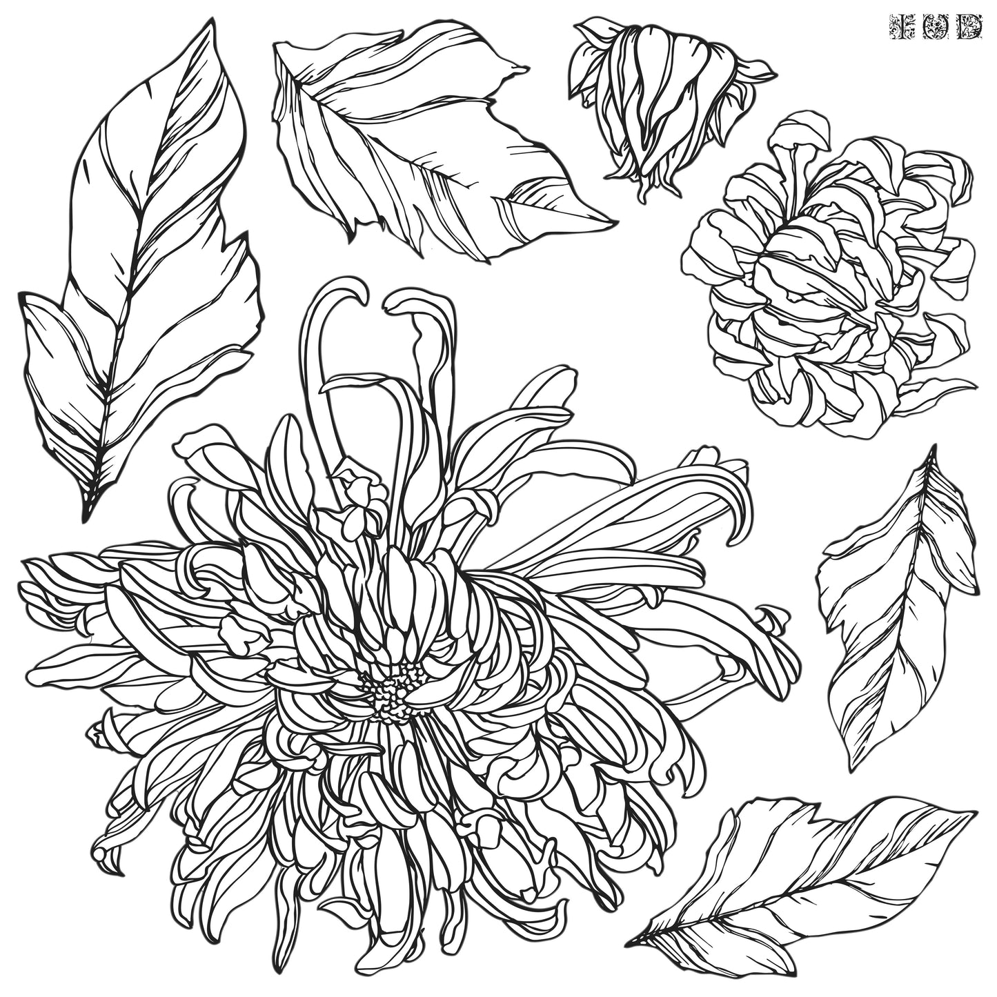 Chrysanthemums Stamp (IOD) Iron Orchid Designs- 12x12