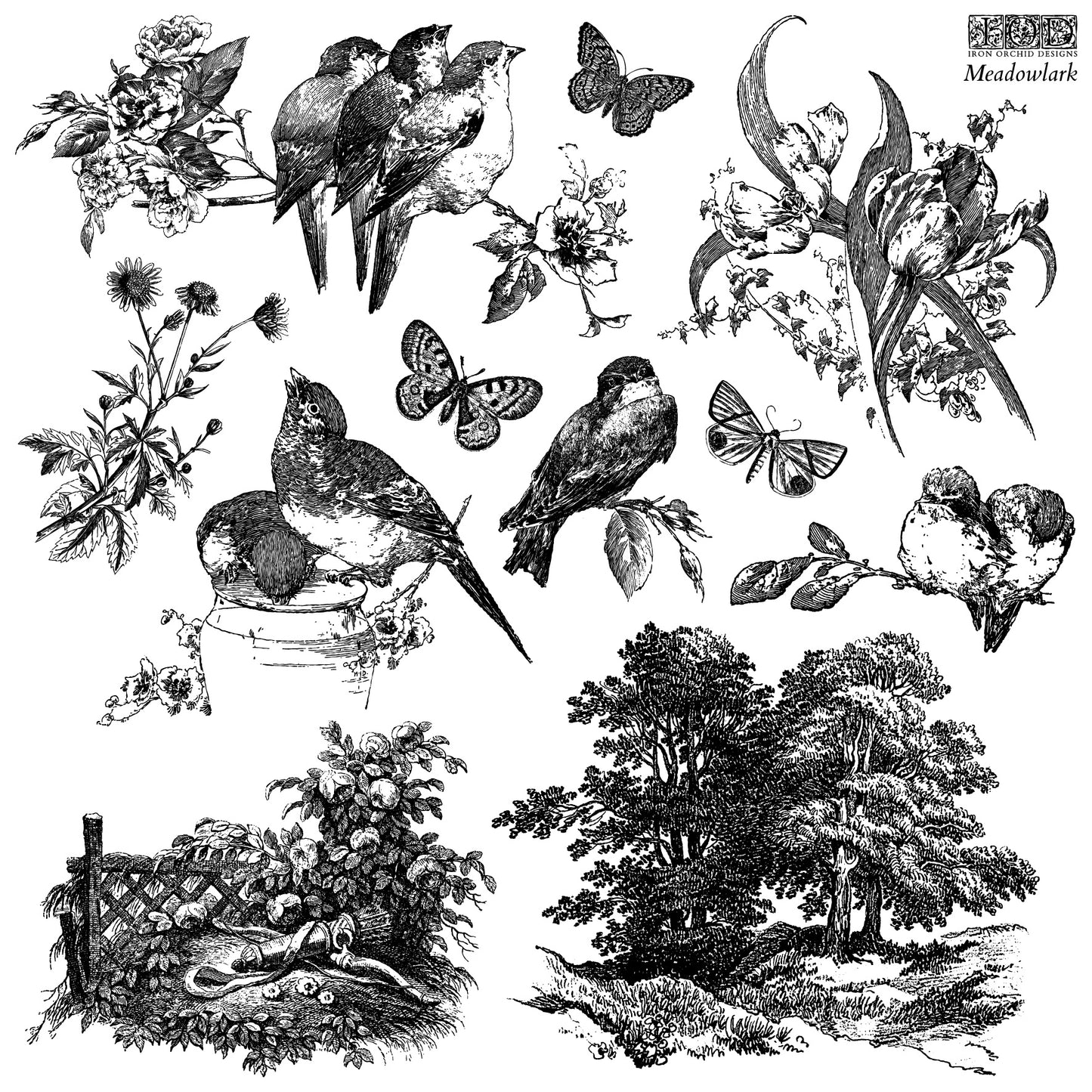 Meadowlark Stamp (IOD) Iron Orchid Designs- 12x12