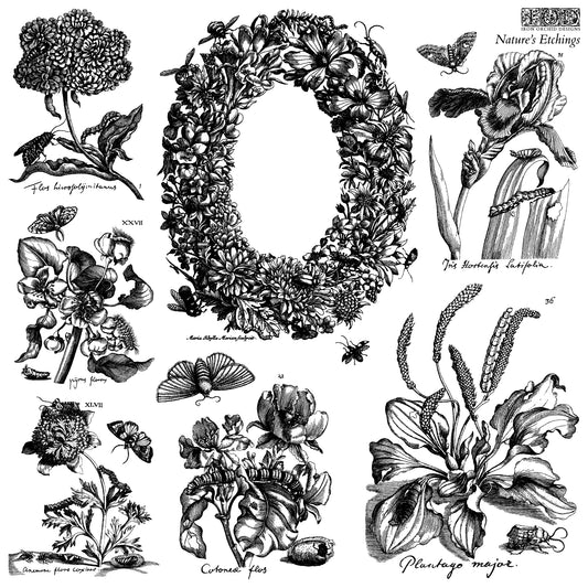 Nature's Etchings Stamp (IOD) Iron Orchid Designs- 12x12