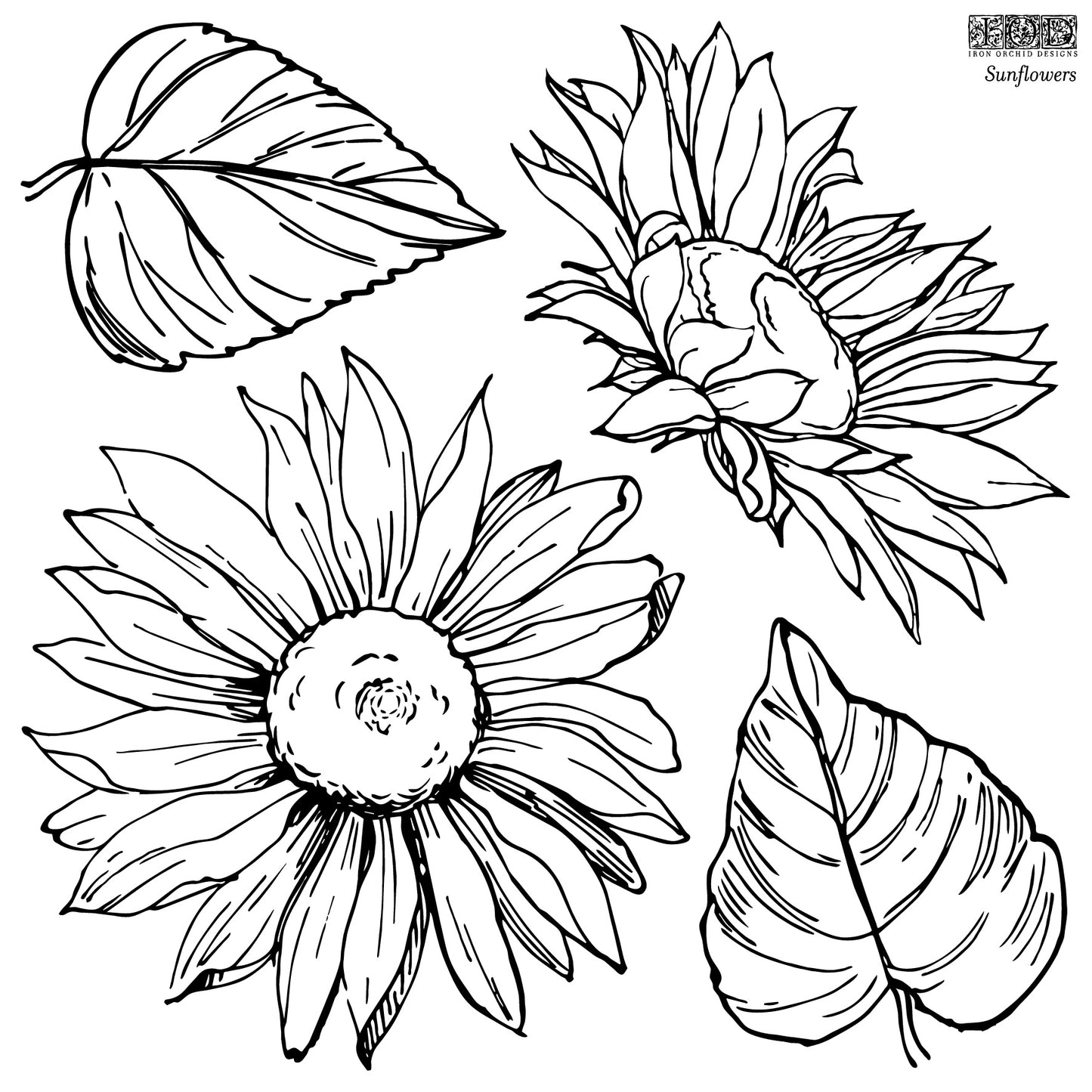 Sunflowers Stamp (IOD) Iron Orchid Designs- 12x12