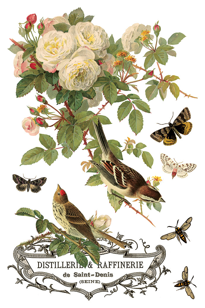 By Any Other Name Transfer (IOD) Iron Orchid Designs- 8x12 Pad™