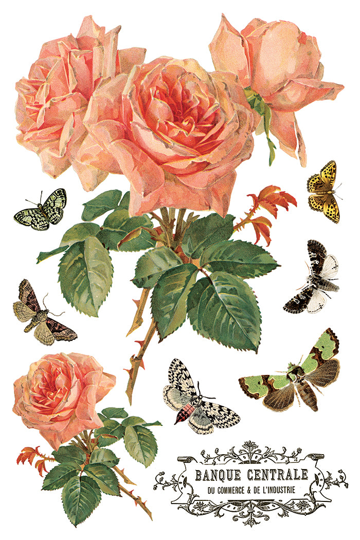 By Any Other Name Transfer (IOD) Iron Orchid Designs- 8x12 Pad™