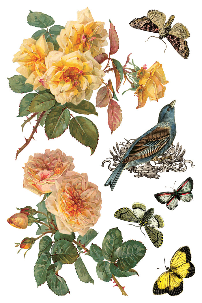 By Any Other Name Transfer (IOD) Iron Orchid Designs- 8x12 Pad™
