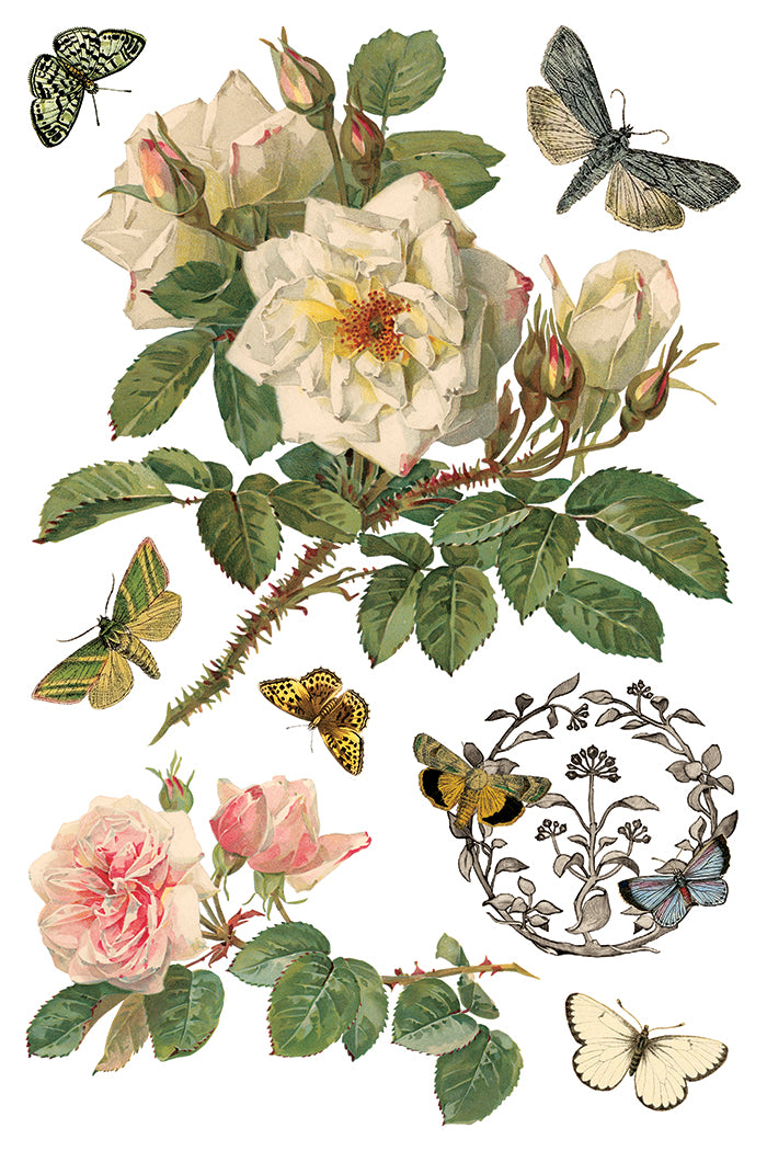 By Any Other Name Transfer (IOD) Iron Orchid Designs- 8x12 Pad™