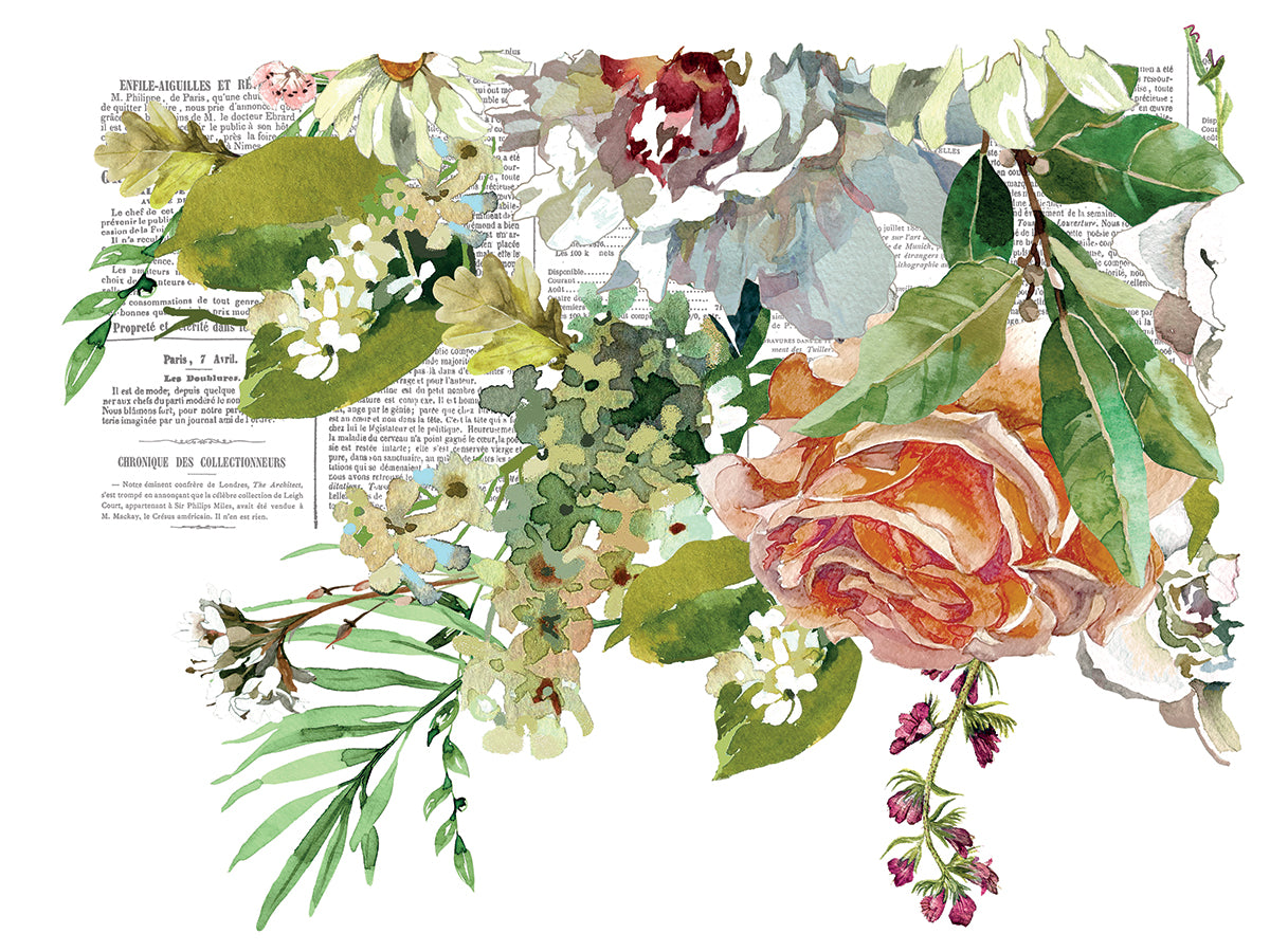 Elysium Transfer (IOD) Iron Orchid Designs Transfer- 12x16 Pad