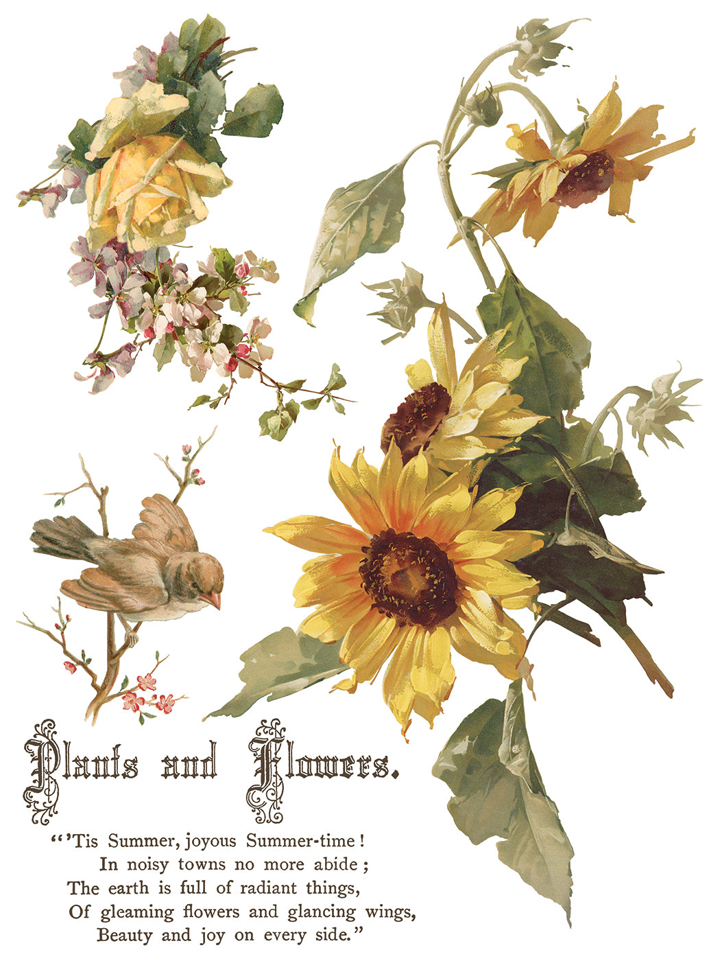Flowers by the Poets Transfer (IOD) Iron Orchid Designs- 12x16 Pad