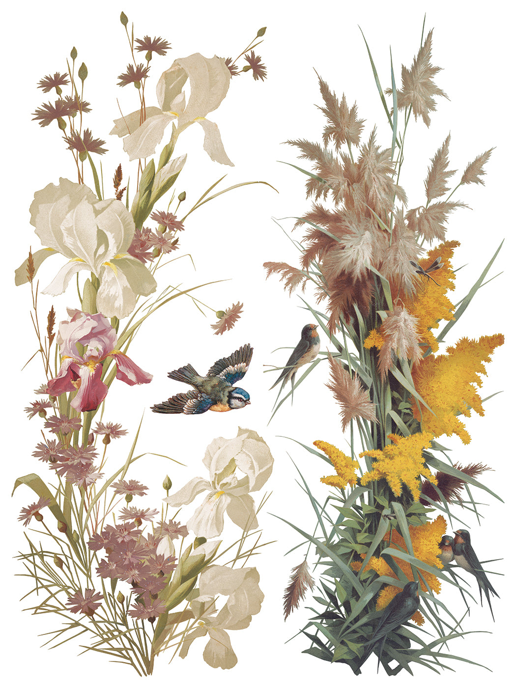 Flowers by the Poets Transfer (IOD) Iron Orchid Designs- 12x16 Pad