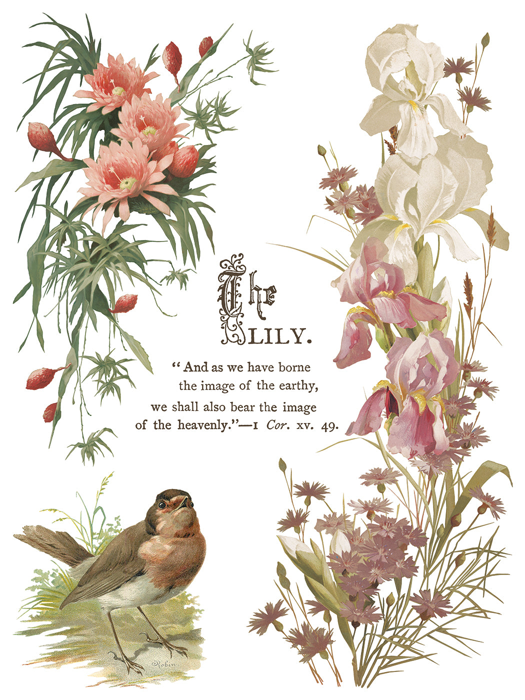 Flowers by the Poets Transfer (IOD) Iron Orchid Designs- 12x16 Pad