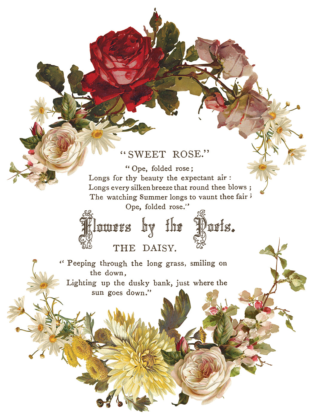Flowers by the Poets Transfer (IOD) Iron Orchid Designs- 12x16 Pad