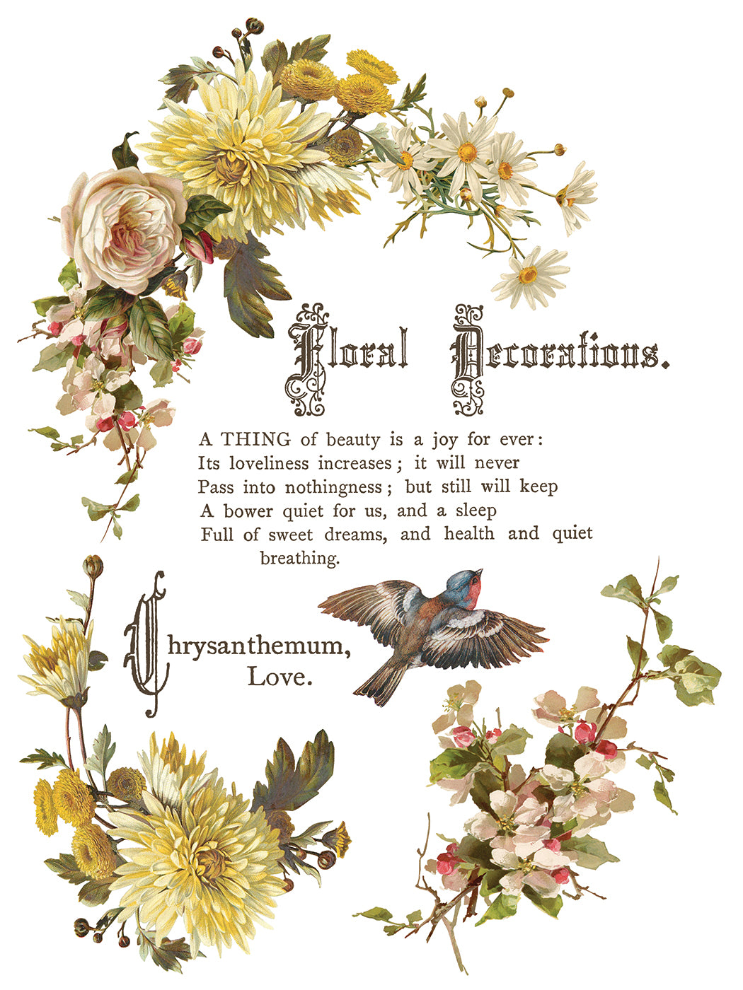 Flowers by the Poets Transfer (IOD) Iron Orchid Designs- 12x16 Pad