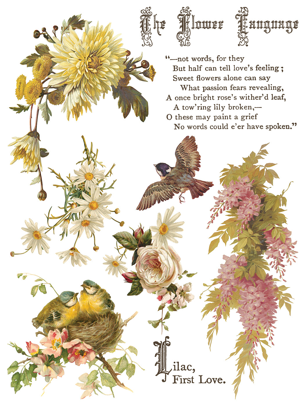 Flowers by the Poets Transfer (IOD) Iron Orchid Designs- 12x16 Pad