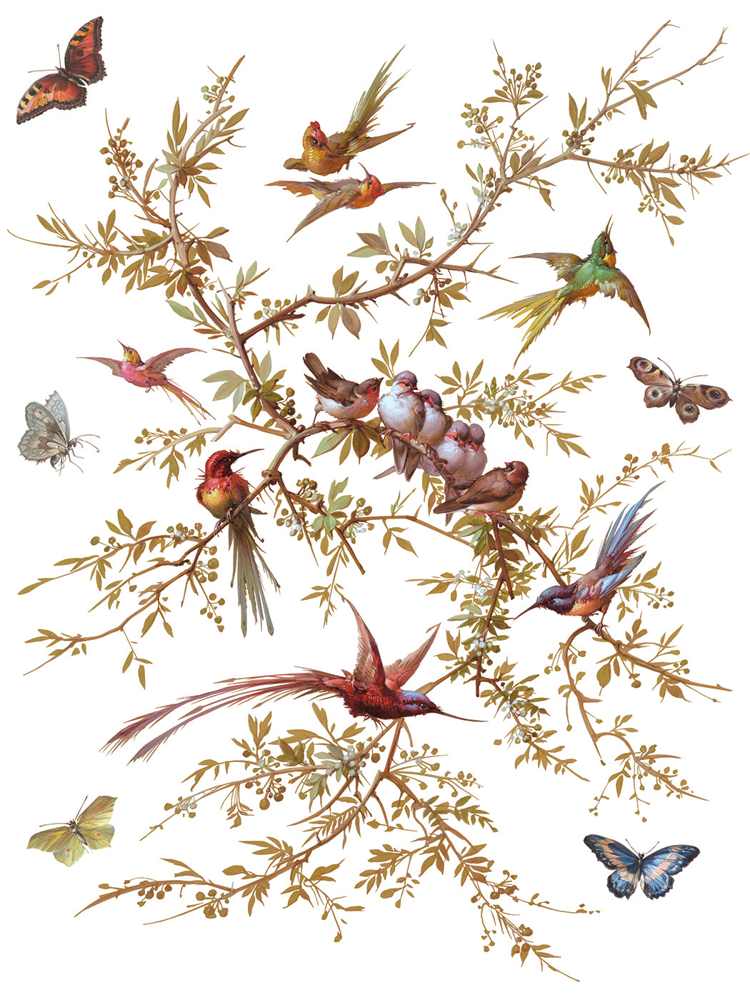Madeleine Transfer (IOD) Iron Orchid Designs- 12x16 Pad™
