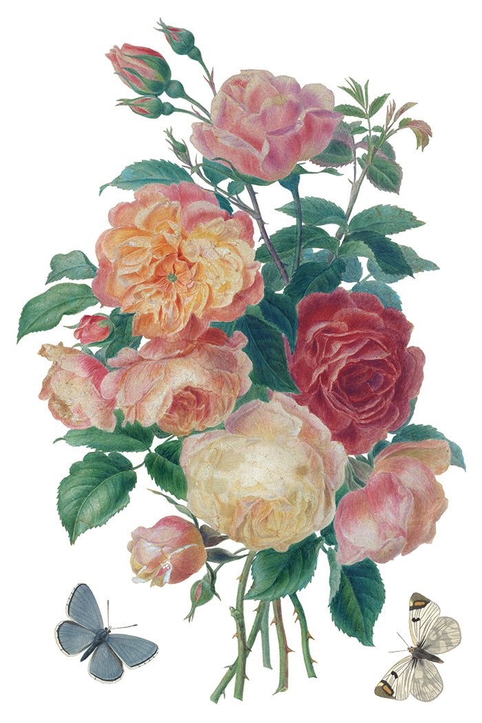 Saint Ouen Transfer (IOD) Iron Orchid Designs- 8x12 Pad™