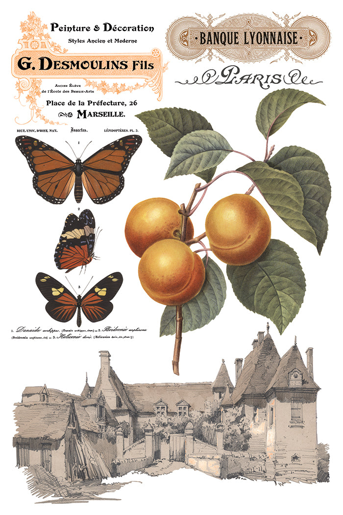 Saint Ouen Transfer (IOD) Iron Orchid Designs- 8x12 Pad™