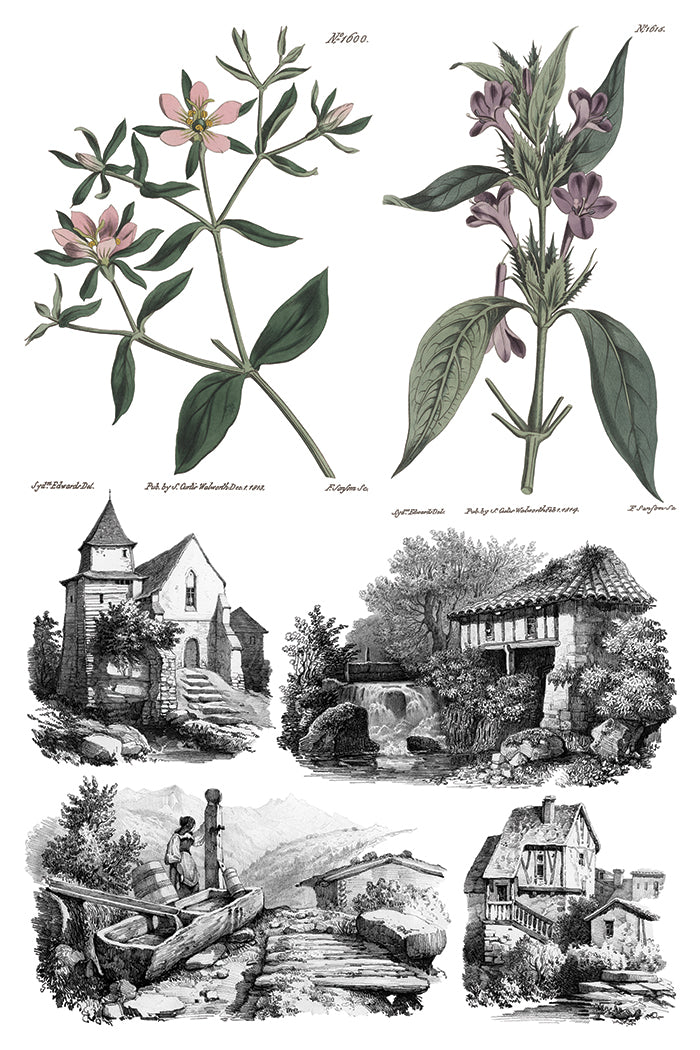 Saint Ouen Transfer (IOD) Iron Orchid Designs- 8x12 Pad™