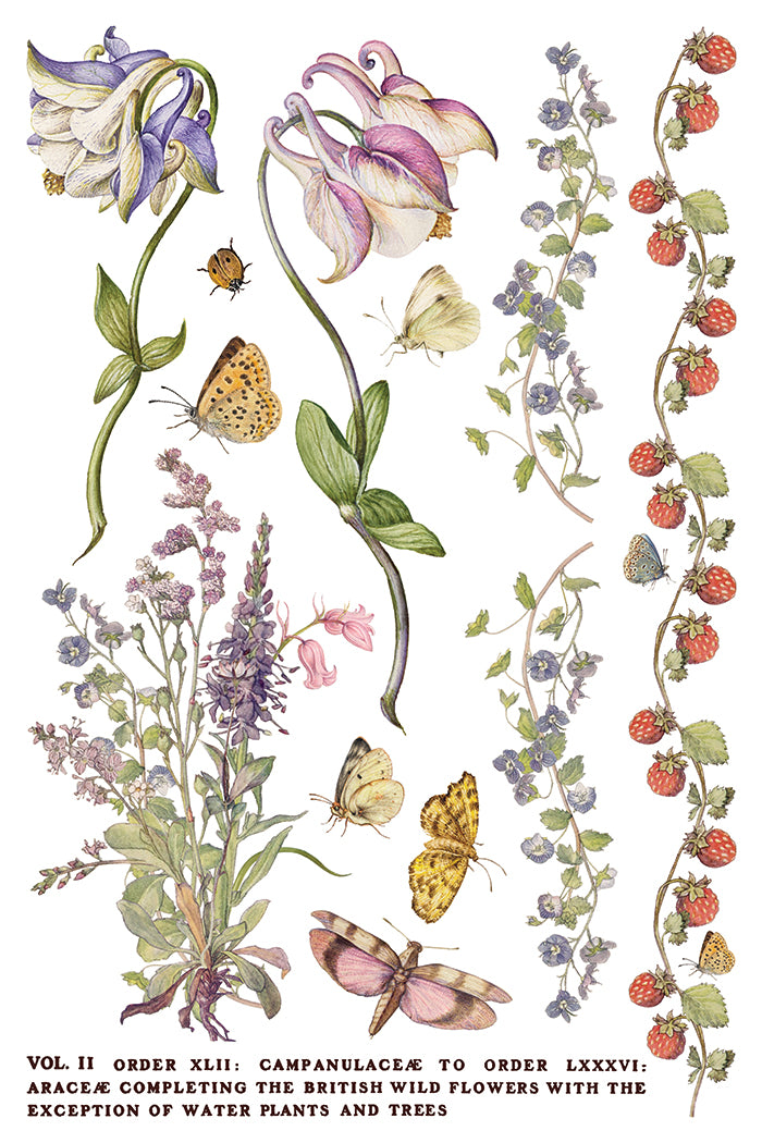 Primrose Isle Transfer (IOD) Iron Orchid Designs- 8x12 Pad