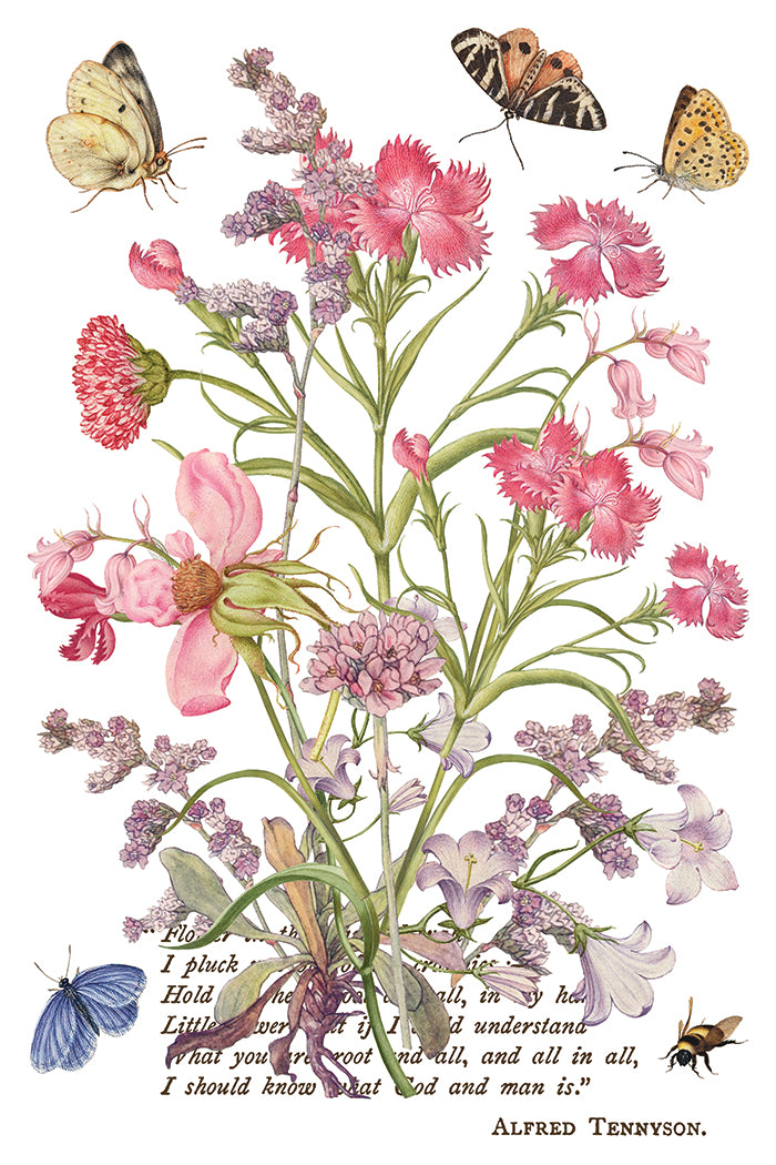 Primrose Isle Transfer (IOD) Iron Orchid Designs- 8x12 Pad