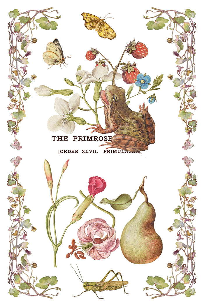 Primrose Isle Transfer (IOD) Iron Orchid Designs- 8x12 Pad