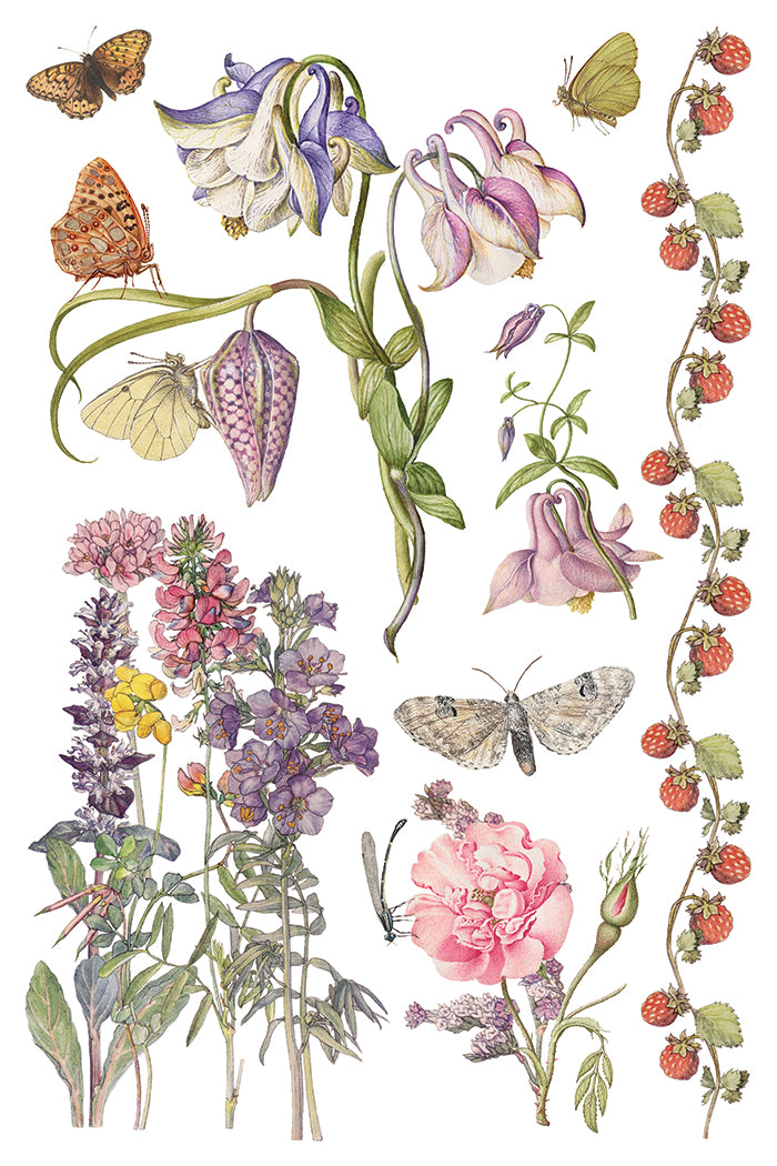 Primrose Isle Transfer (IOD) Iron Orchid Designs- 8x12 Pad