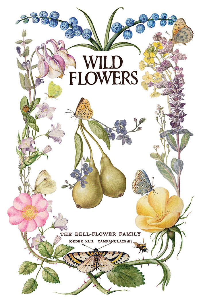 Primrose Isle Transfer (IOD) Iron Orchid Designs- 8x12 Pad