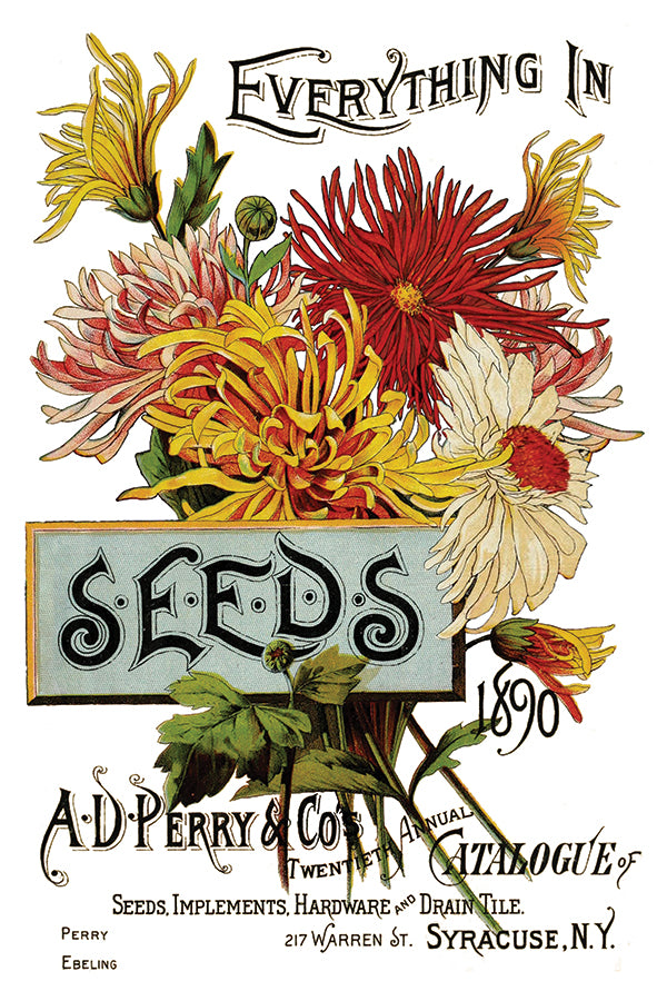 Seed Catalogue Transfer (IOD) Iron Orchid Designs- 8x12 Pad
