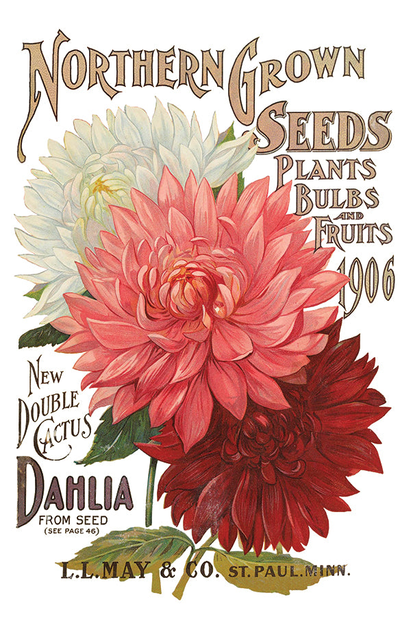 Seed Catalogue Transfer (IOD) Iron Orchid Designs- 8x12 Pad