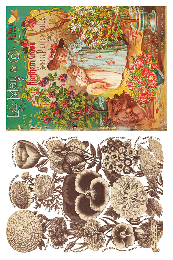 Seed Catalogue Transfer (IOD) Iron Orchid Designs- 8x12 Pad