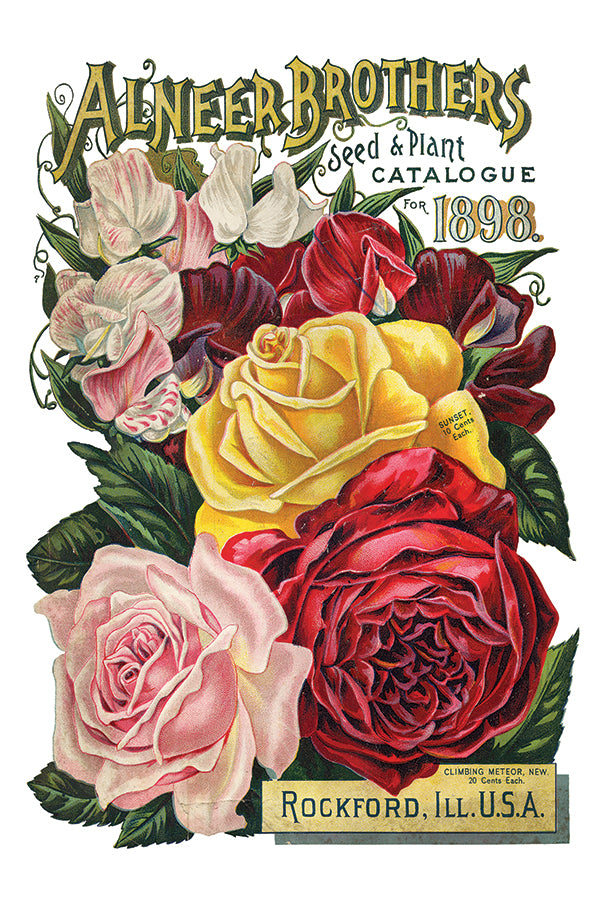 Seed Catalogue Transfer (IOD) Iron Orchid Designs- 8x12 Pad