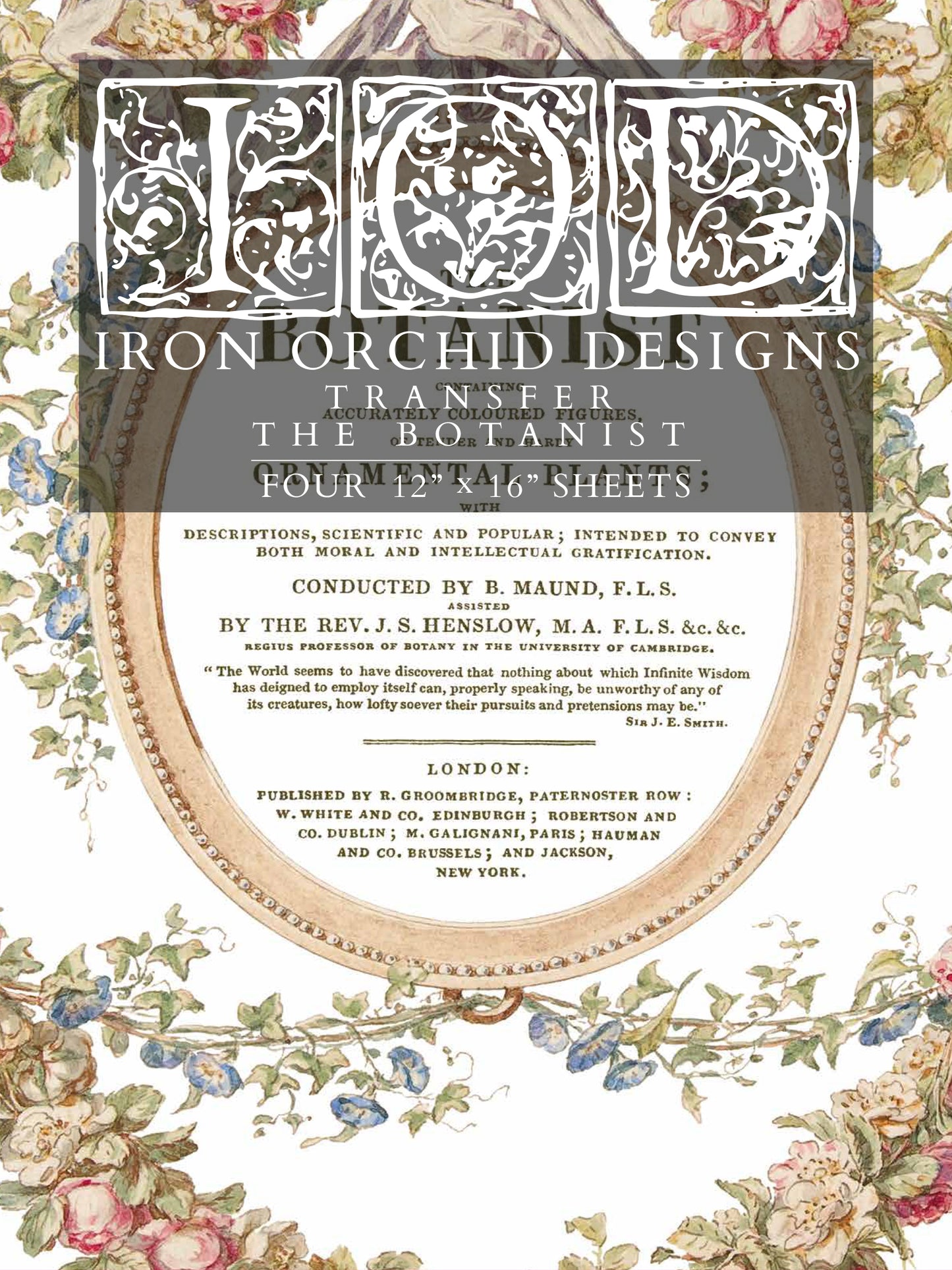 The Botanist Transfer (IOD) Iron Orchid Designs- 12x16 Pad