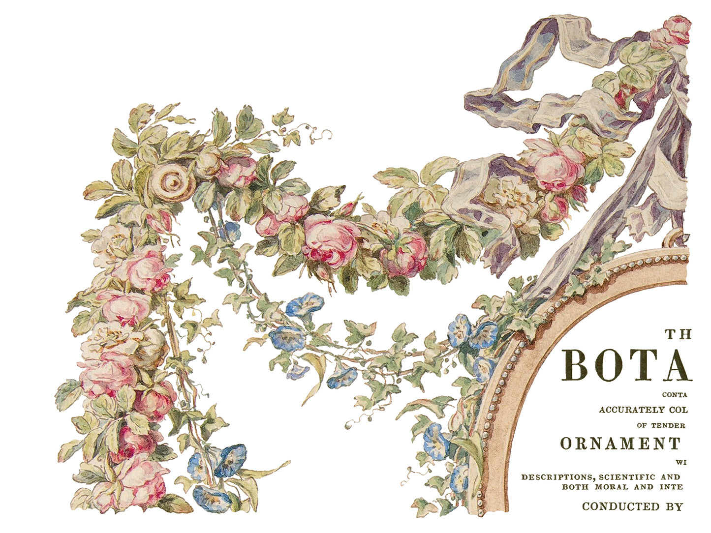 The Botanist Transfer (IOD) Iron Orchid Designs- 12x16 Pad