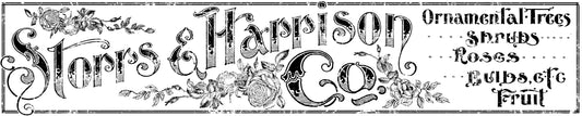 Storrs & Harrison Co. Transfer (IOD) Iron Orchid Designs- 12x60 Banner