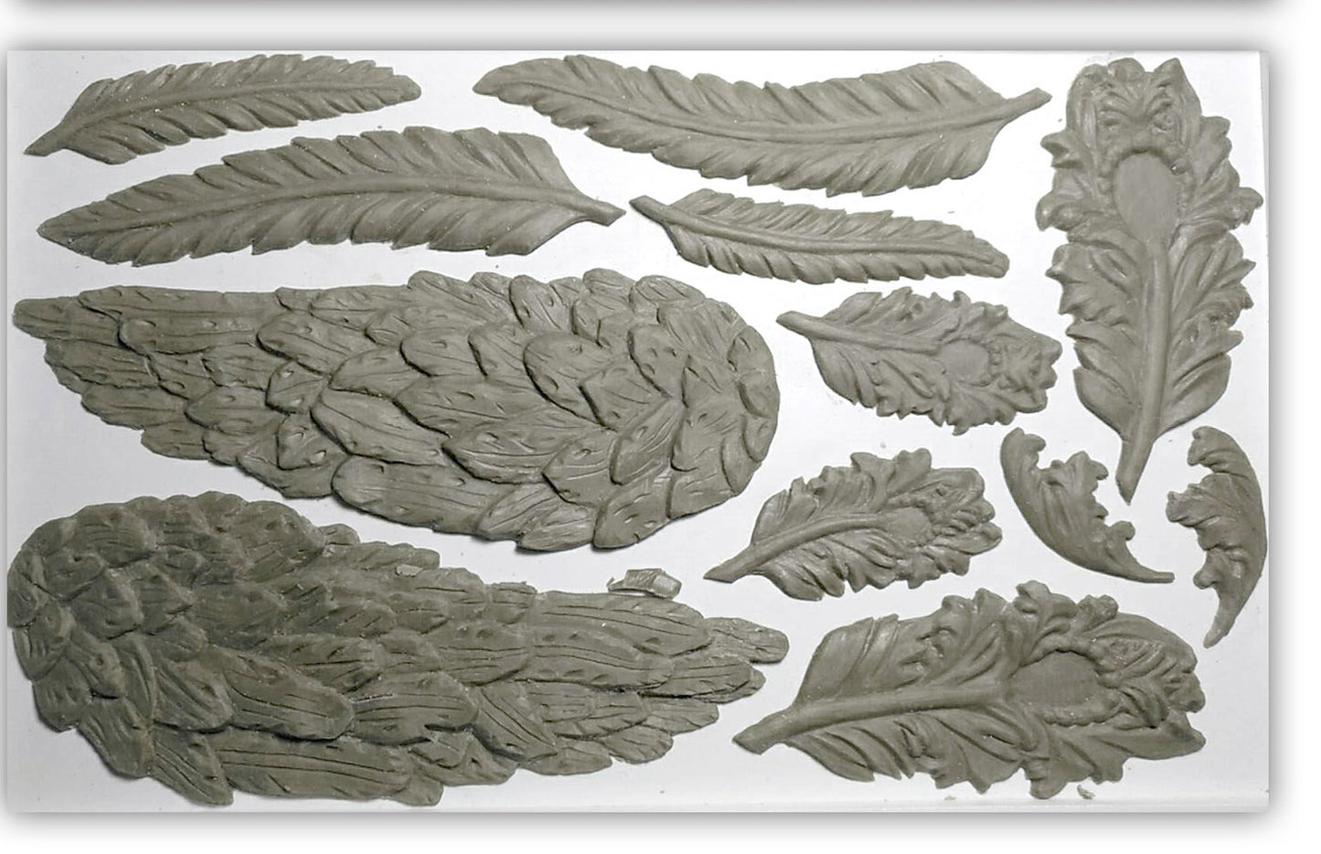 Wings & Feathers Mould (IOD) Iron Orchid Designs- 6x10