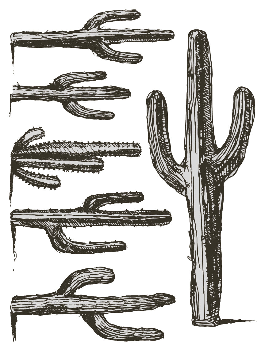 IOD_Desperado_Transfer_12x16_pad_by_Iron_Orchid_Designs_western_furniture_transfer cactus