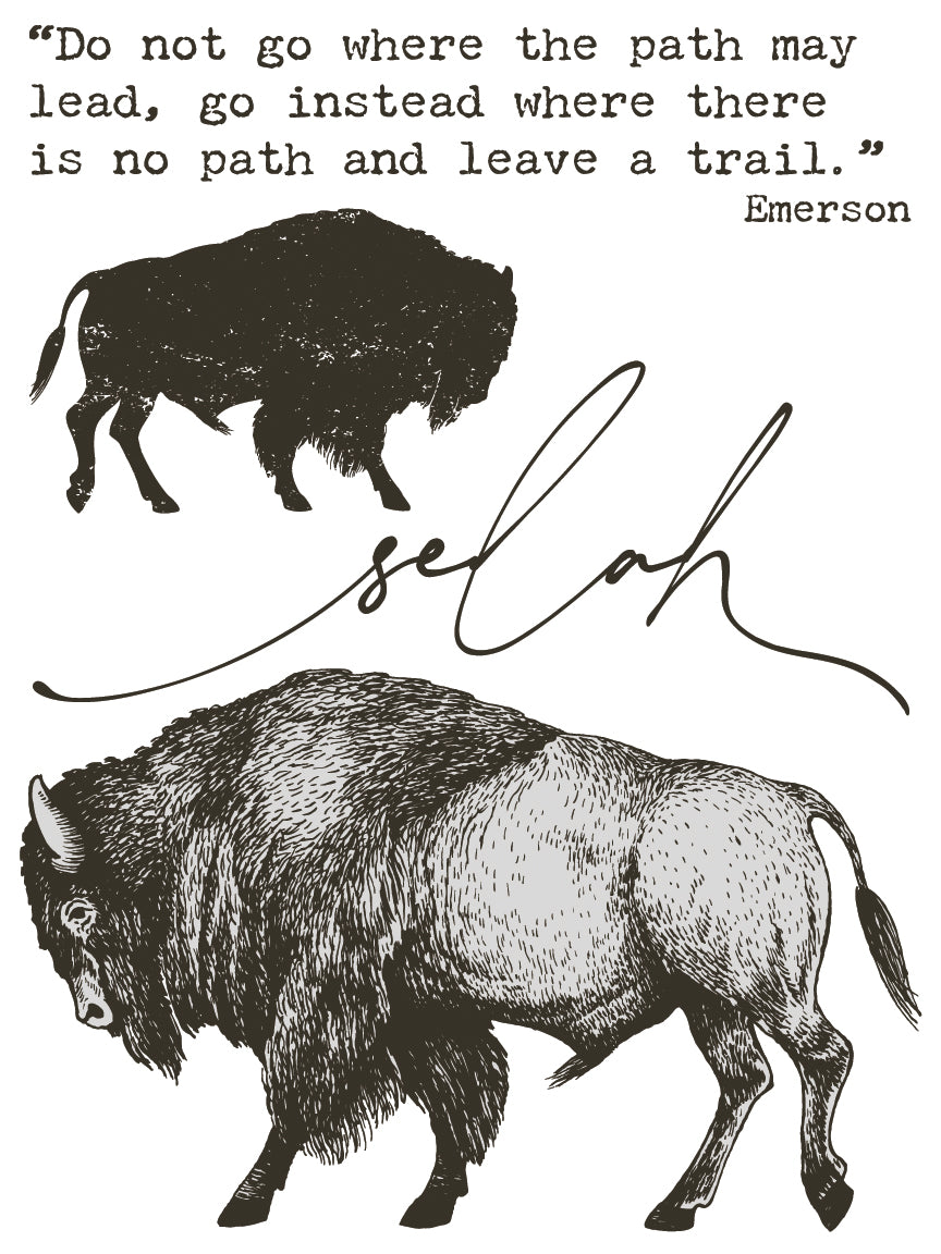 IOD_Desperado_Transfer_12x16_pad_by_Iron_Orchid_Designs_western_furniture_transfer bison