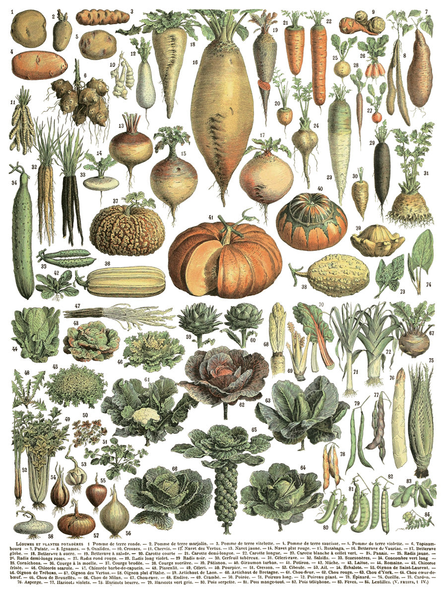 Illustration of various vegetables arranged in a grid. IOD IRON ORCHID Designs Millots Pages page 5