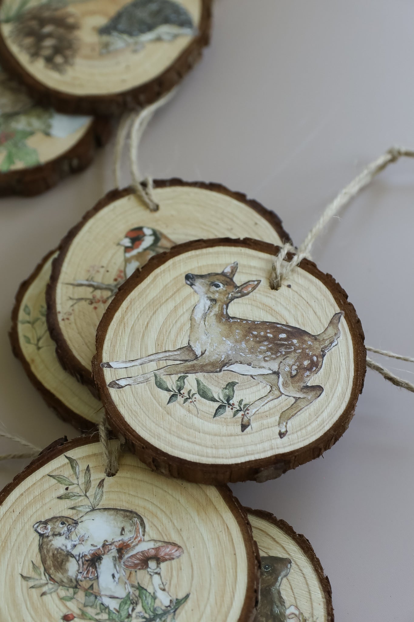 The Bramblewood Diaries Transfer – IOD Iron Orchid Designs