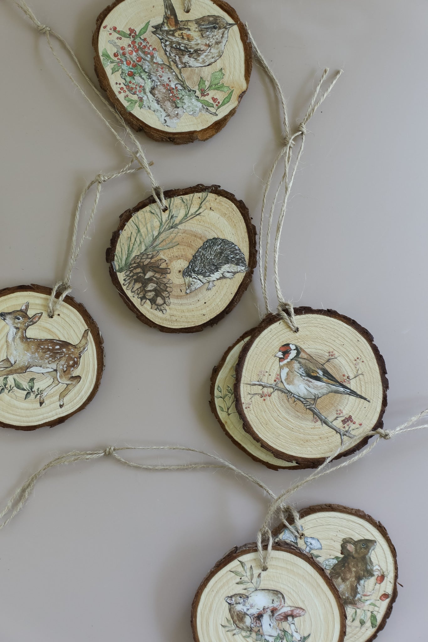 The Bramblewood Diaries Transfer – IOD Iron Orchid Designs