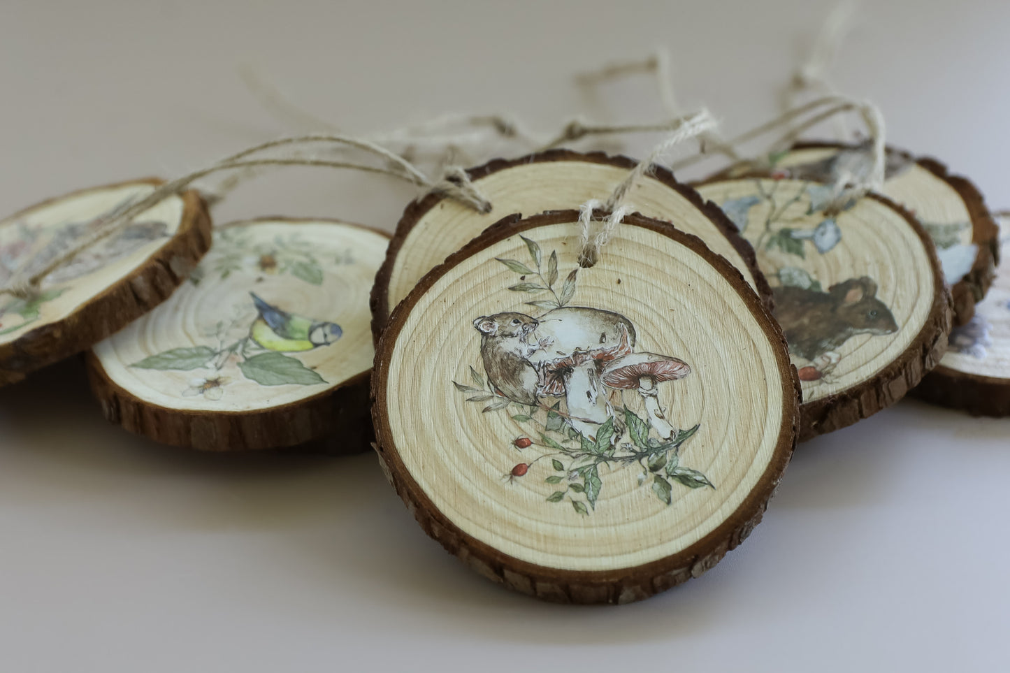 The Bramblewood Diaries Transfer – IOD Iron Orchid Designs