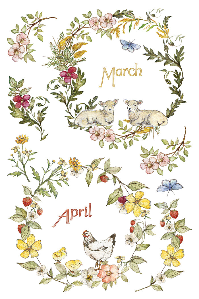 The Bramblewood Diaries Transfer – IOD Iron Orchid Designs