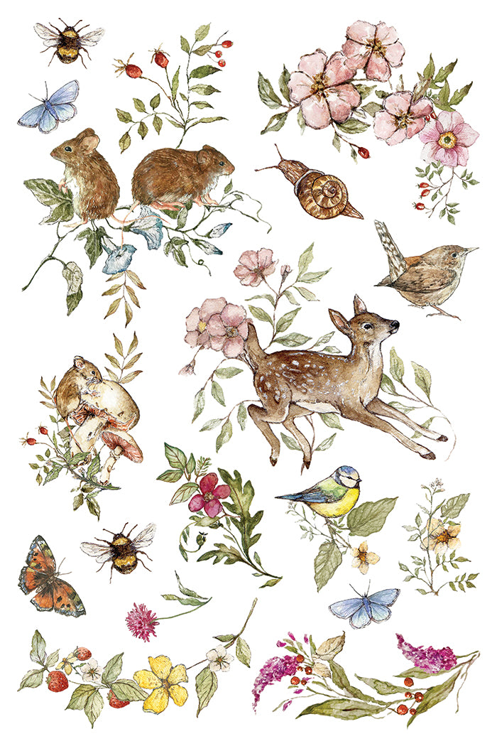 The Bramblewood Diaries Transfer – IOD Iron Orchid Designs