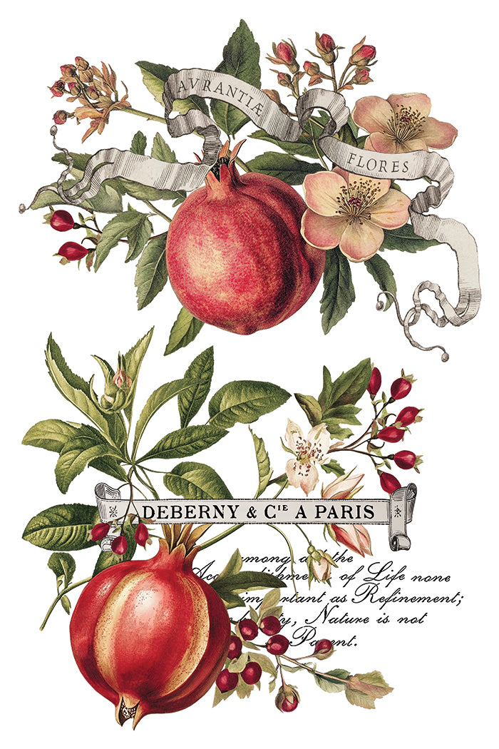 IOD Clementine Transfer Page 2 featuring vintage French botanical artwork of ripe split pomegranates, pink and white blossoms, green leaves, and decorative ribbon banners with French text including "AURANTIA," "FLORES," and "DEBERNY & CIE A PARIS."