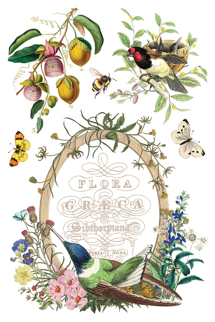IOD Flora Greca Transfer 8x12 botanical furniture transfer by Iron Orchid Designs page 1
