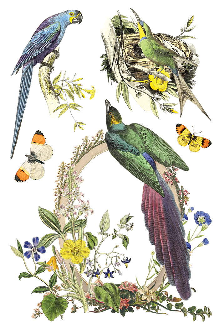 IOD Flora Greca Transfer 8x12 botanical furniture transfer by Iron Orchid Designs page 2