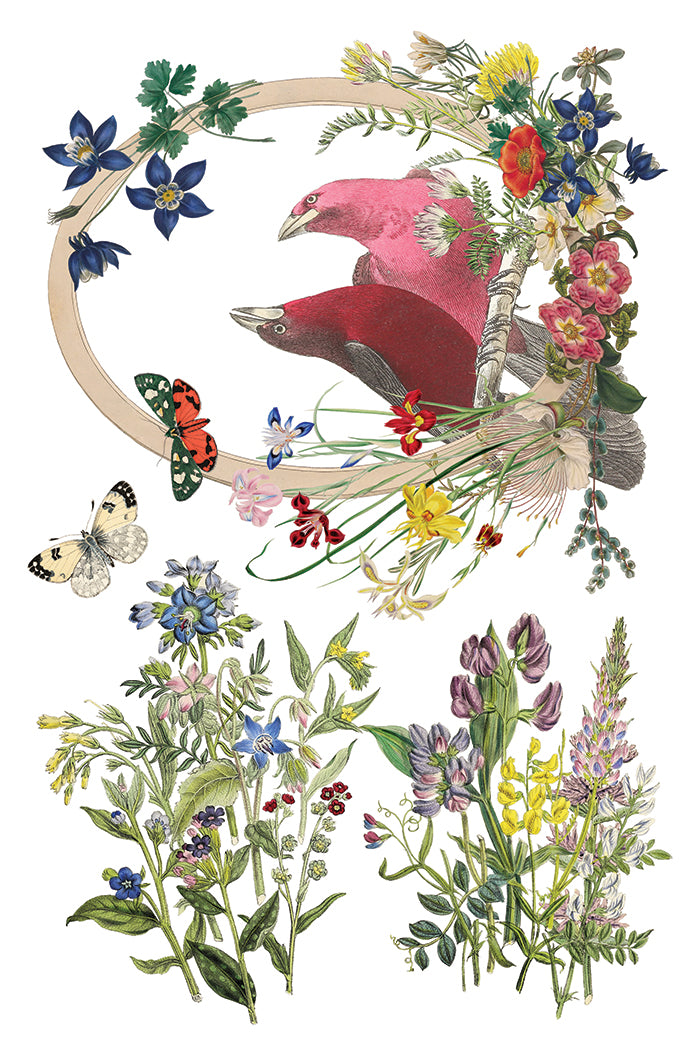 IOD Flora Greca Transfer 8x12 botanical furniture transfer by Iron Orchid Designs page 5