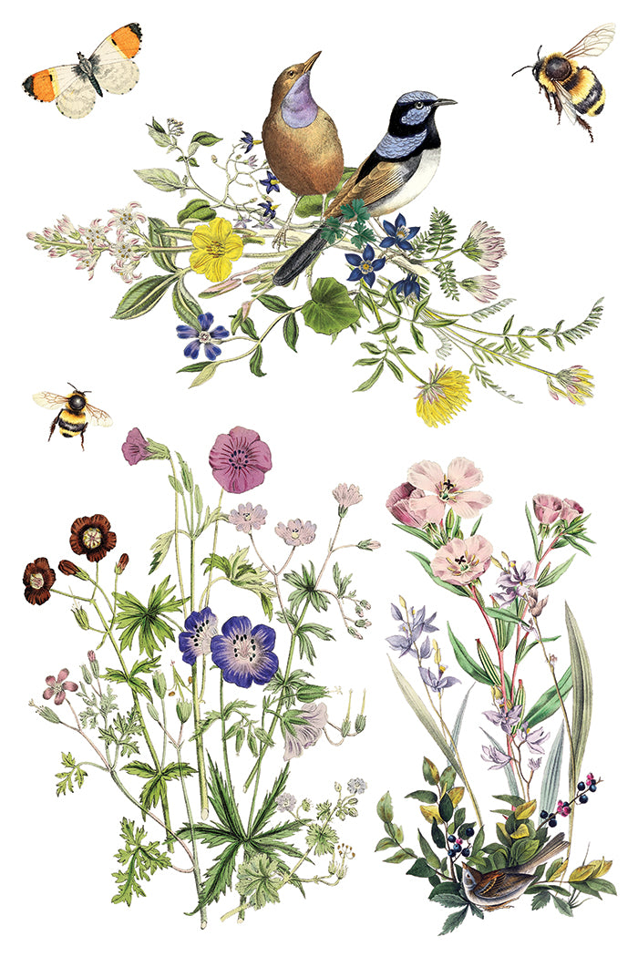 IOD Flora Greca Transfer 8x12 botanical furniture transfer by Iron Orchid Designs page 6