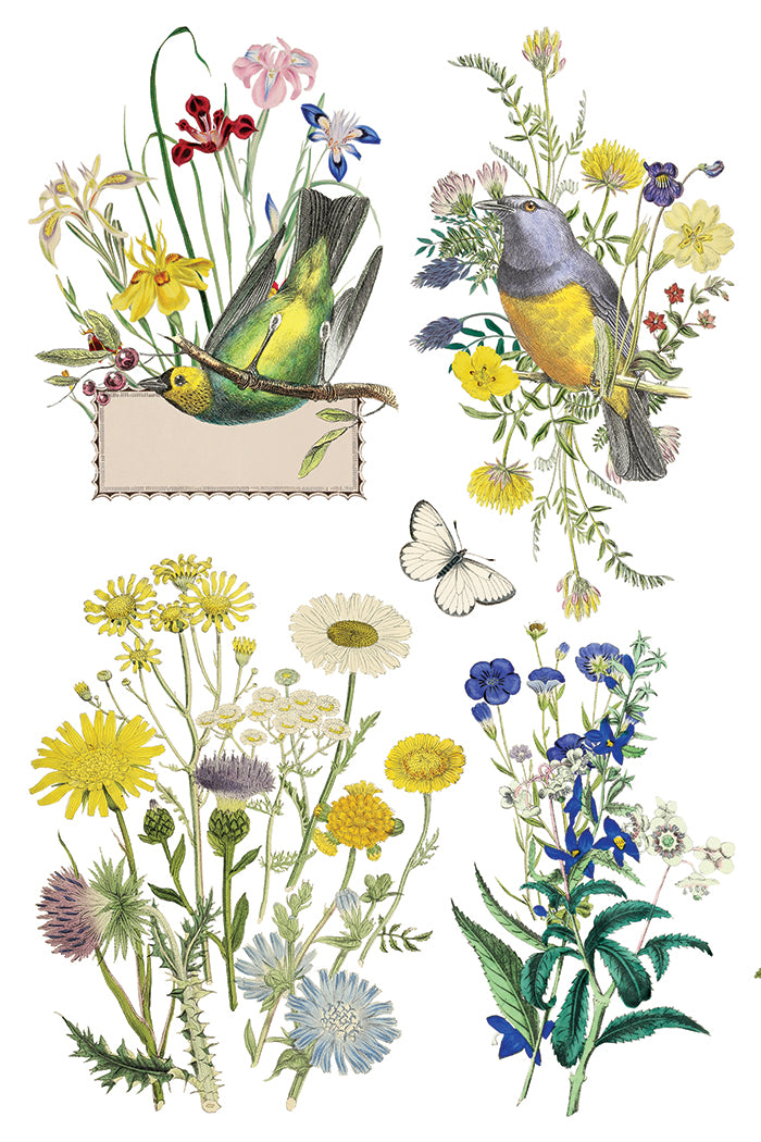 IOD Flora Greca Transfer 8x12 botanical furniture transfer by Iron Orchid Designs page 7