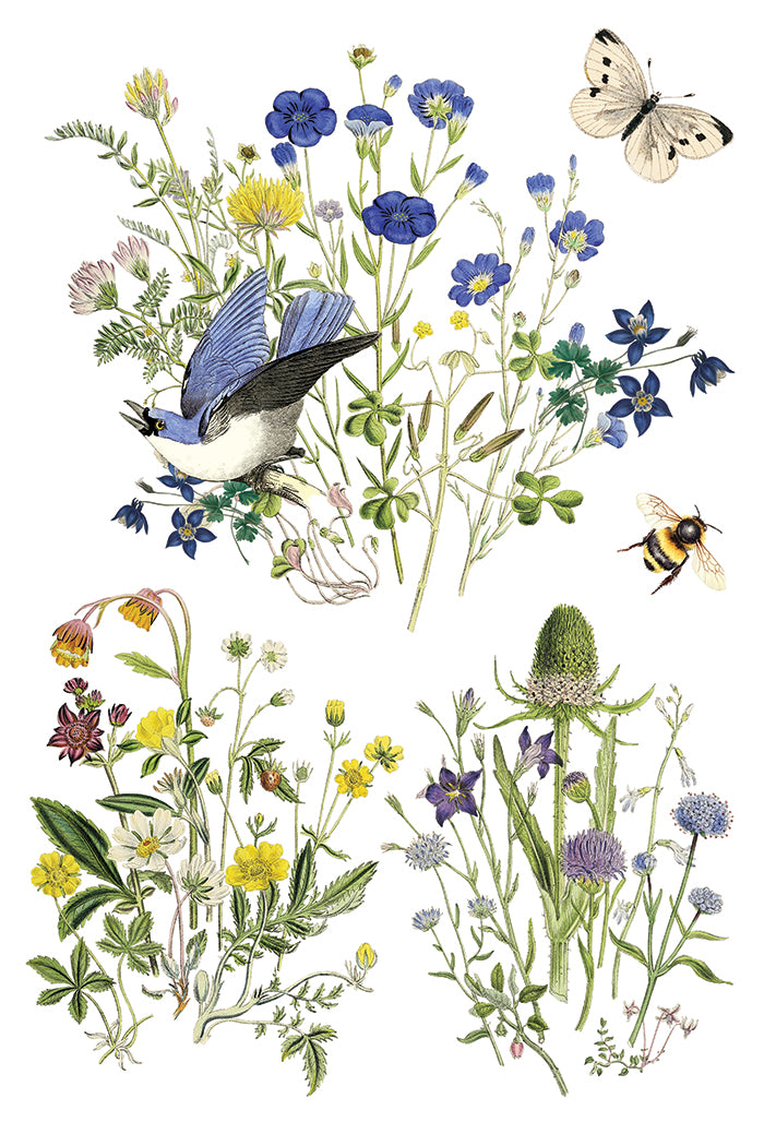 IOD Flora Greca Transfer 8x12 botanical furniture transfer by Iron Orchid Designs page 7