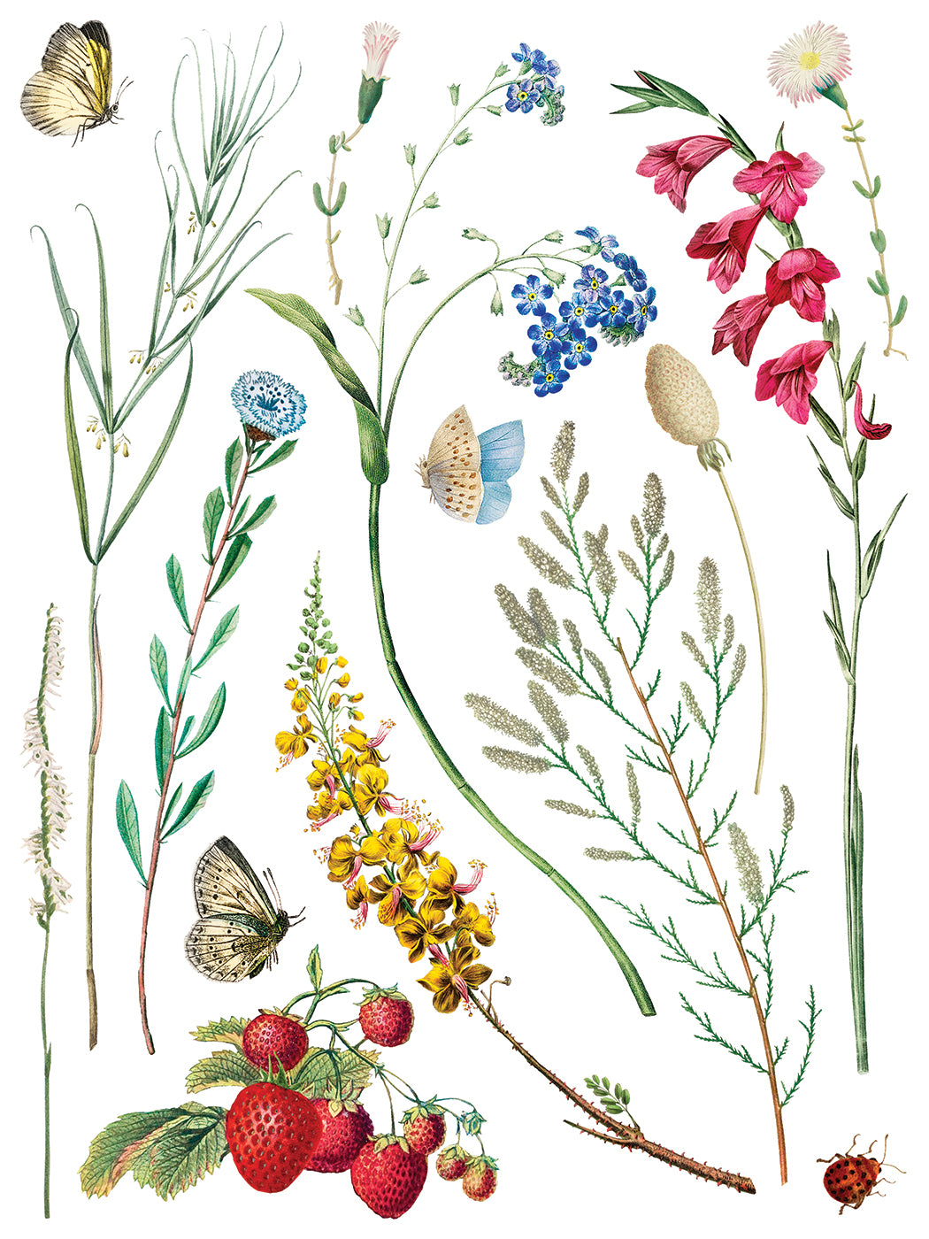 IOD Marché des Fleurs Transfer Page 1 showing vintage botanical illustrations of delicate stems, yellow and pink wildflowers, blue forget-me-nots, bright red strawberries on leafy vines, butterflies, and a ladybug on a plain white background.